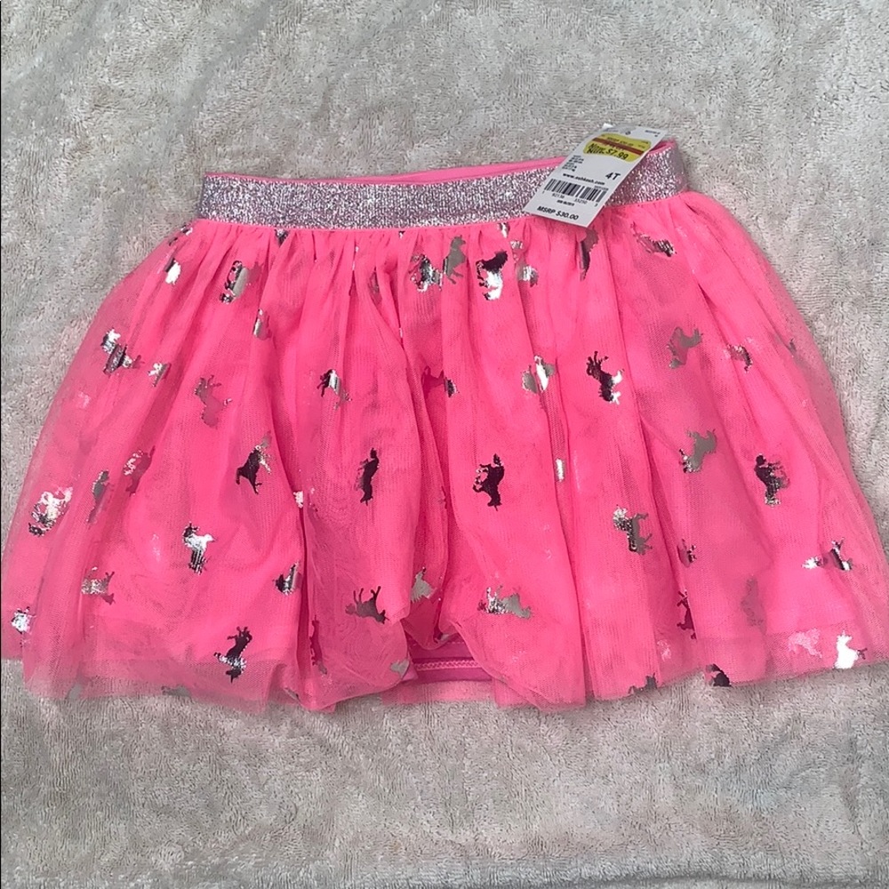 Tulle Skirt